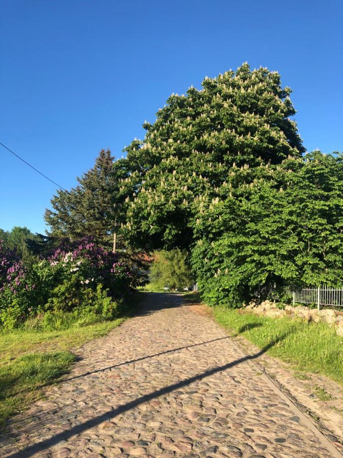 Apartmán Gutshaus Alt-Jargenow Alt Jargenow Exteriér fotografie