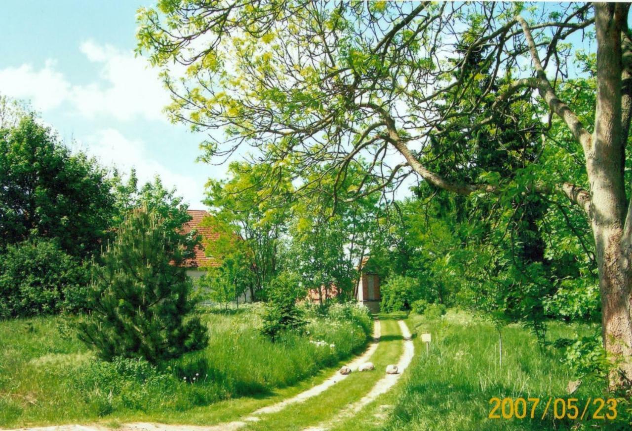 Apartmán Gutshaus Alt-Jargenow Alt Jargenow Exteriér fotografie